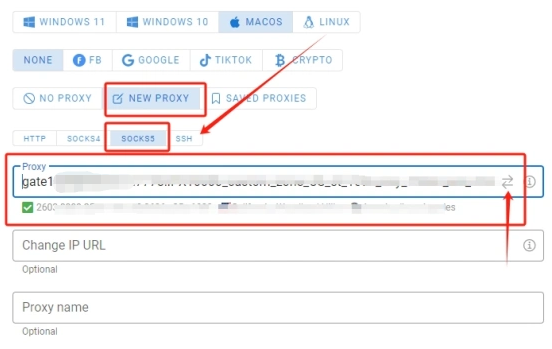 巨量ip代理在Dolphin Anty浏览器上设置动态包时代理教程