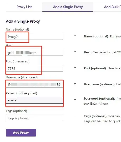巨量ip代理在Ghost Browser浏览器上设置动态包时代理教程
