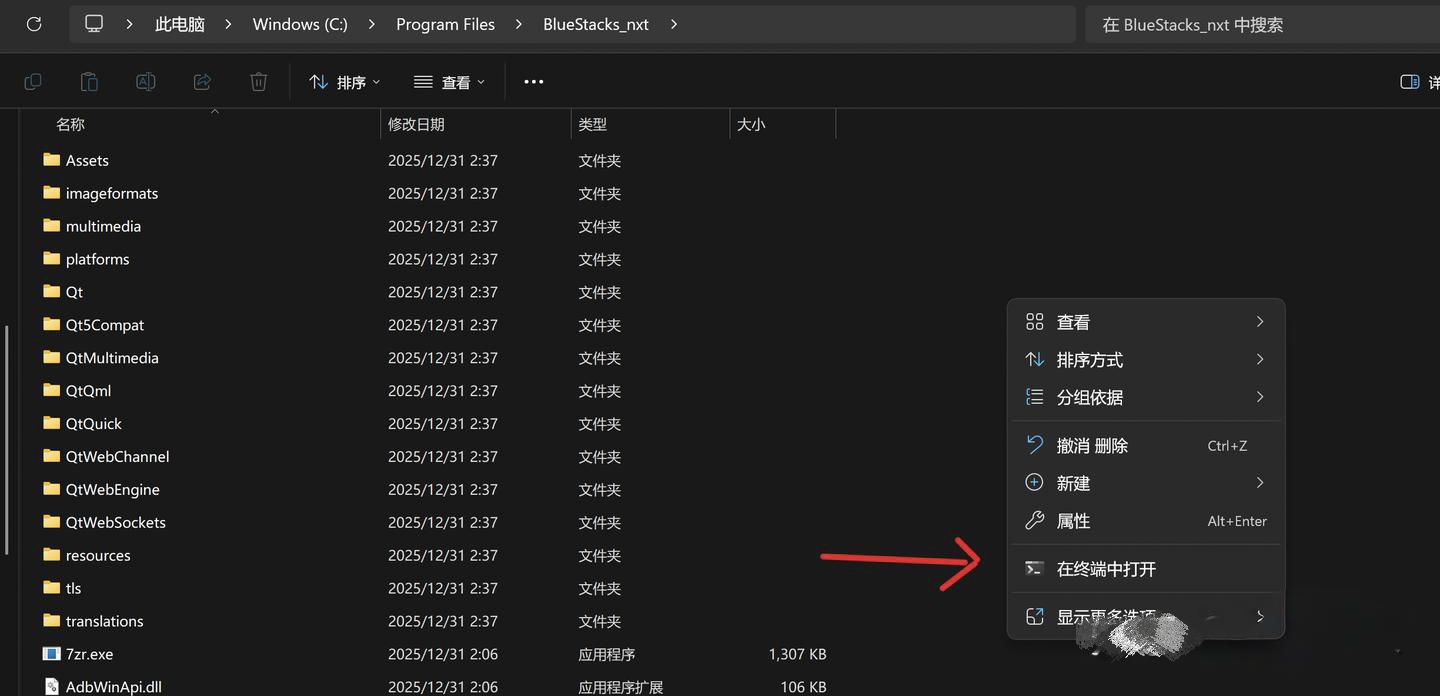 巨量ip代理在蓝叠模拟器上设置隧道代理教程